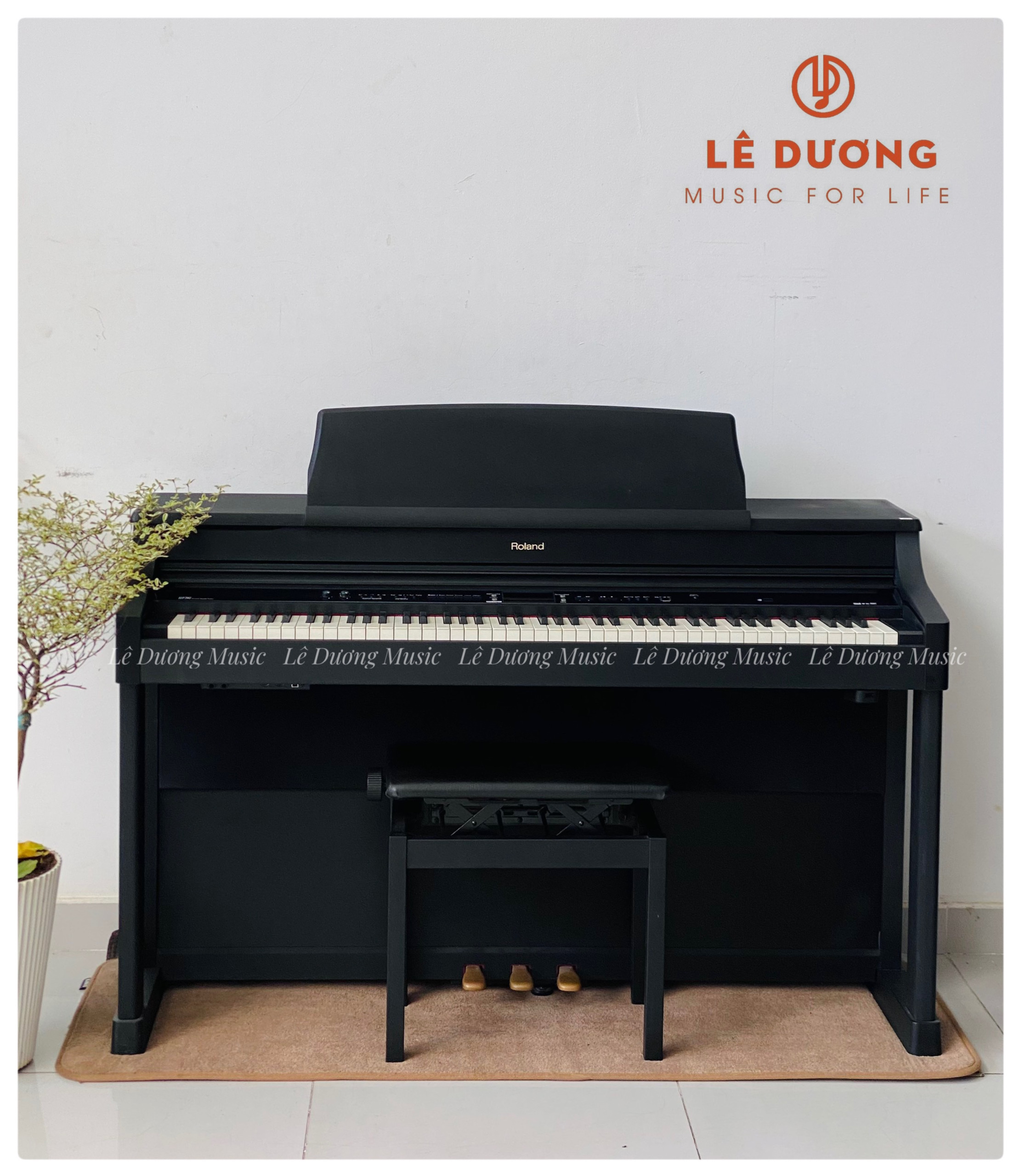 Lê Dương Music -